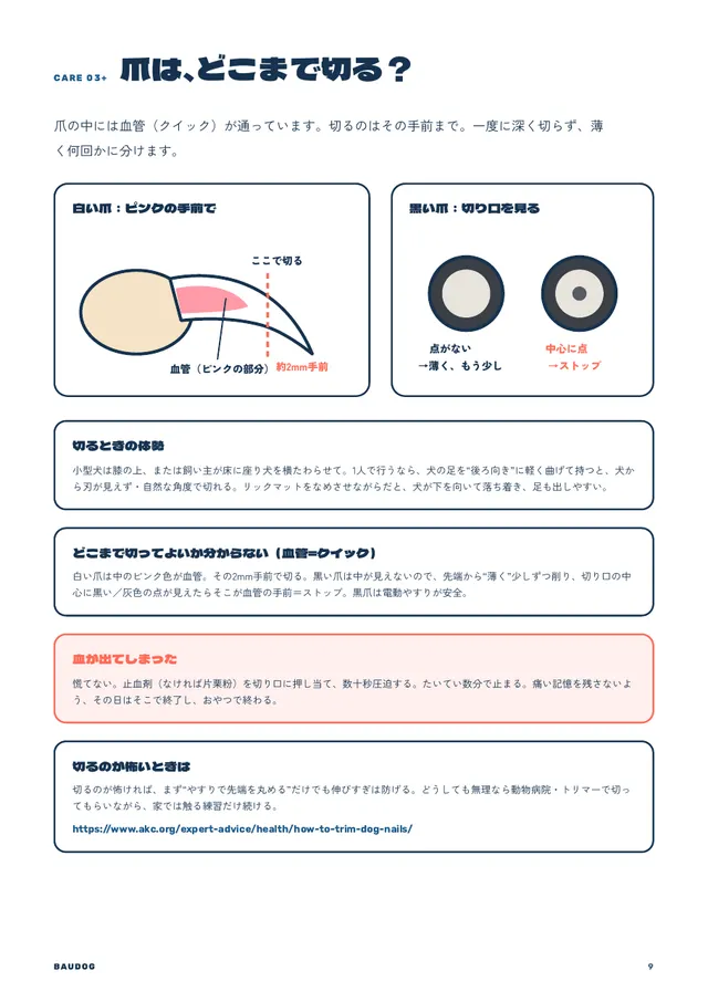 爪をどこまで切るかの図。白い爪は血管の2mm手前、黒い爪は切り口の中心に点が見えたらやめる