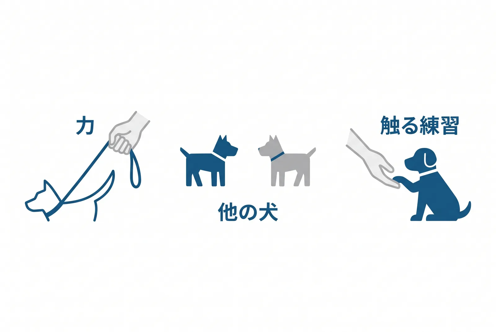秋田犬を迎える前に家族で決める3つ。力を誰が止めるか:引かない歩き方を体が大きくなる前に。他の犬とどう暮らすか:同性の犬に強く出る、多頭飼いは異性で。触られる練習をいつやるか:生後16週までに足先・耳・口を毎日10秒