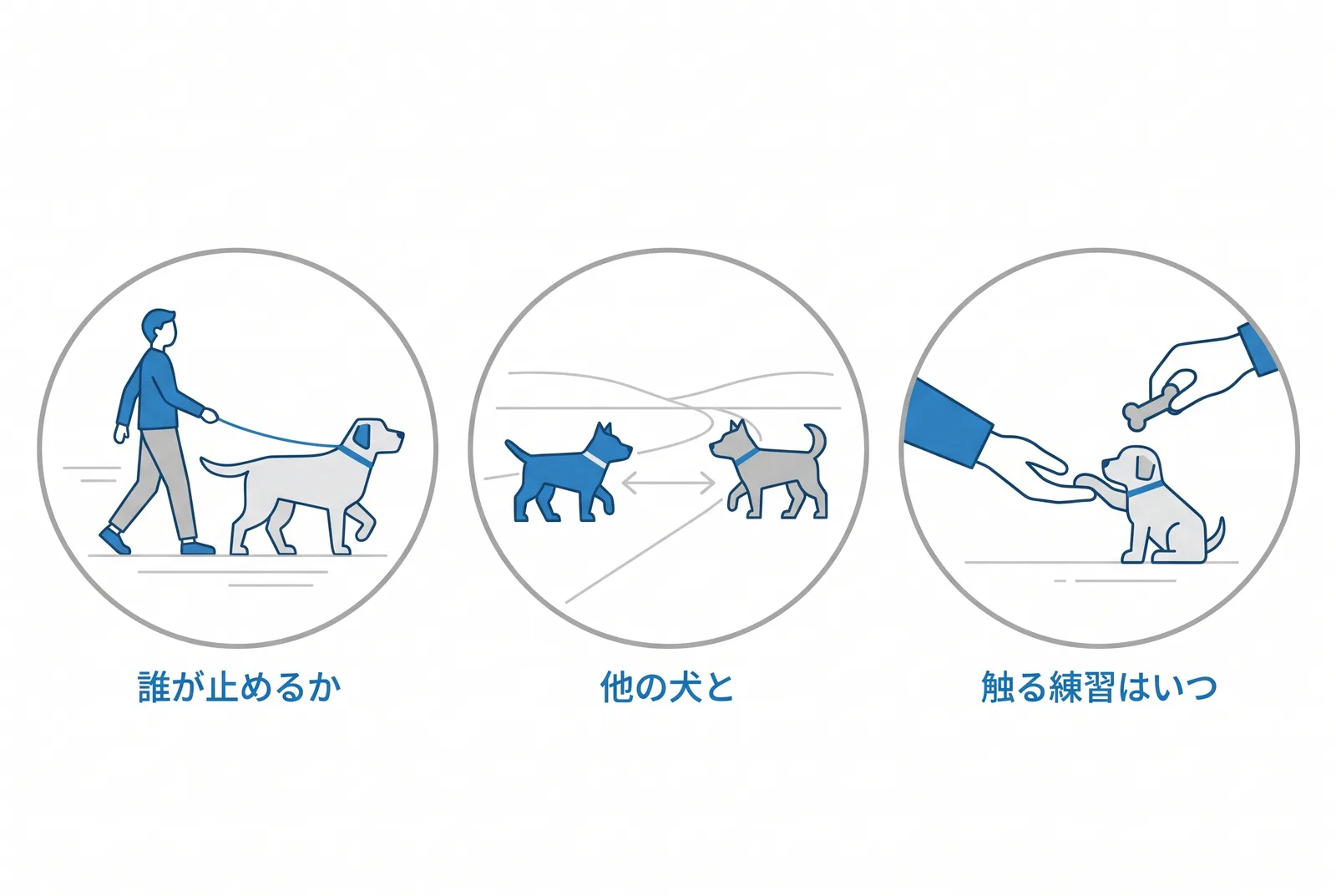 迎える前に決める三つ。力を誰が止めるか、他の犬とどう暮らすか、触られる練習をいつやるか