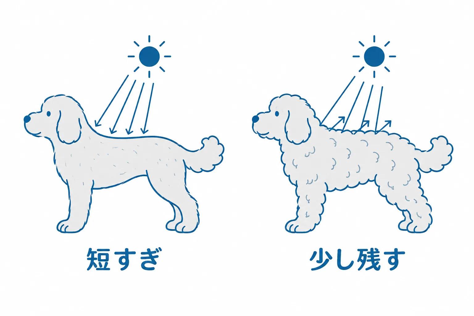 刈り込みすぎ（地肌が見える）と、毛を少し残したカットの違い