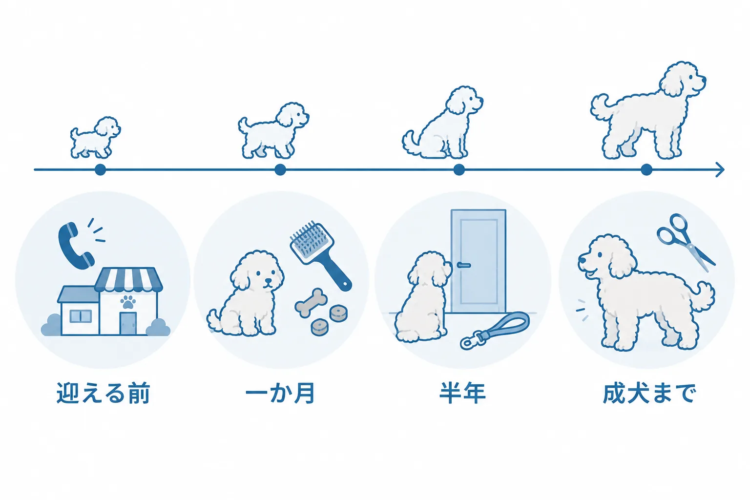 手入れとしつけを、迎える前 → 最初の1か月 → 2〜6か月 → 成犬になるまで、の時間軸で（R4 手順の図解）