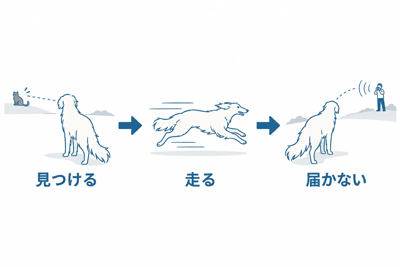 サイトハウンドは目で追う。見つける、走る、呼び声は届かない。だから呼び戻しに頼らない仕組みを作る