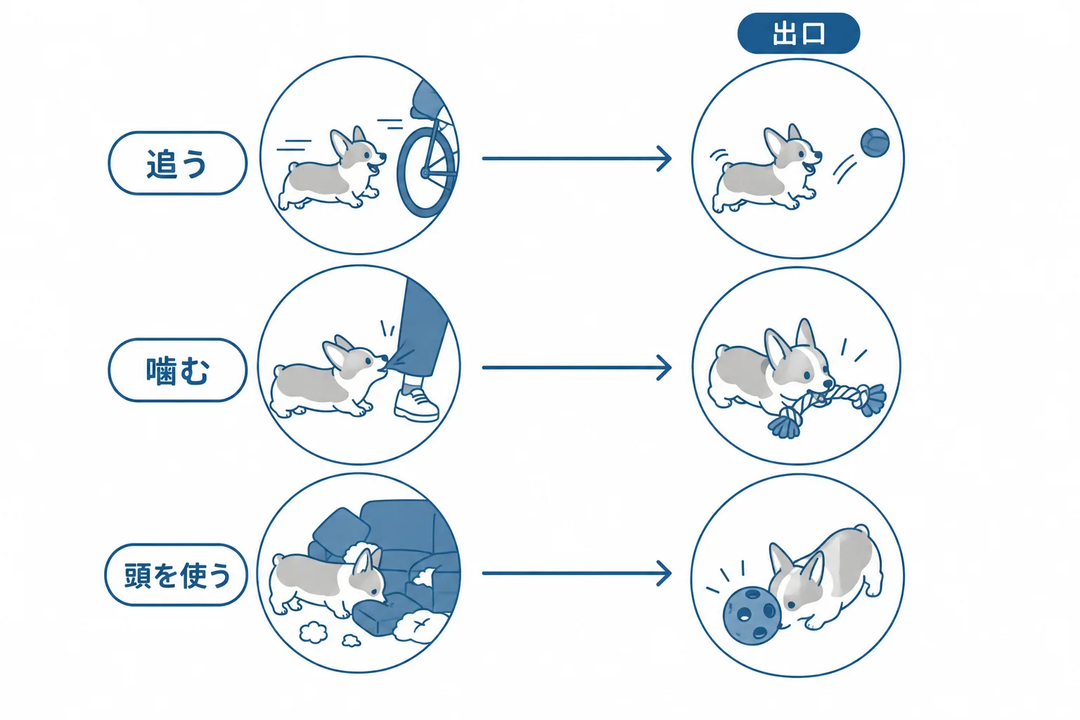 本能は消えない、出口を作る。追う→ボール、噛む→噛んでいいもの、頭を使う→知育おもちゃやにおい探し