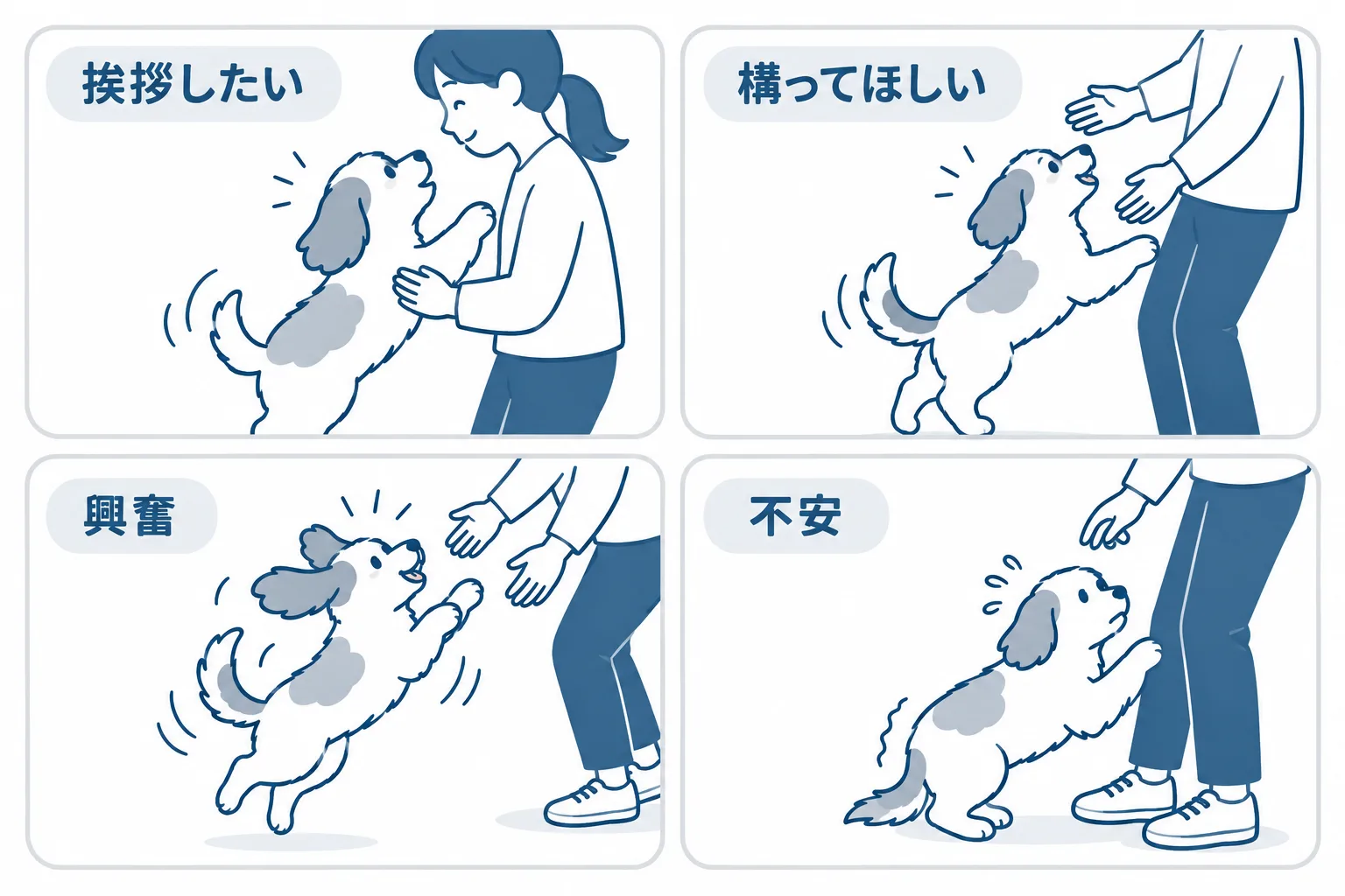 犬が飛びつく四つの理由