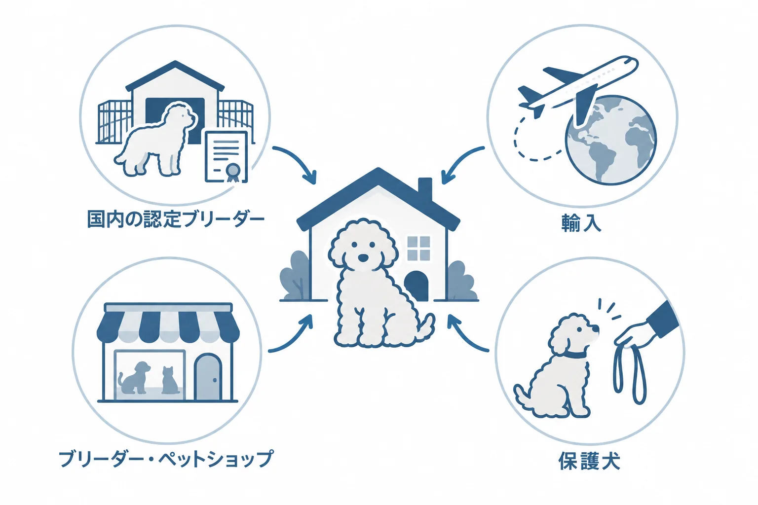ドゥードルの迎え方は四つ（国内の認定ブリーダー・輸入・ブリーダーやペットショップ・保護犬）