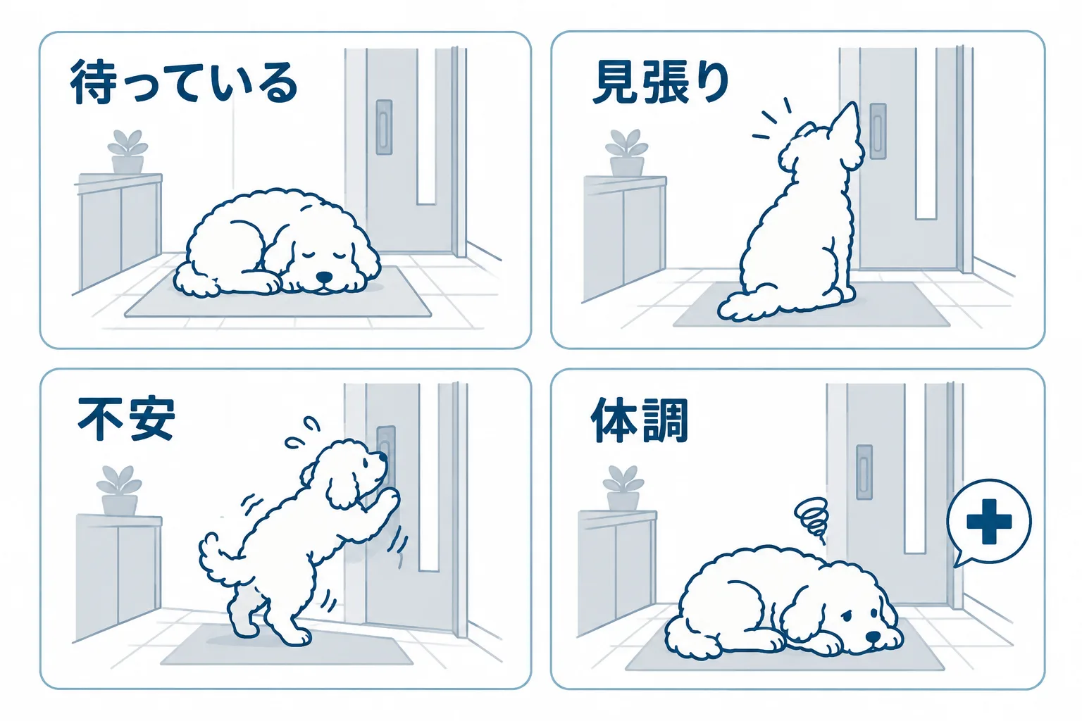 犬が玄関にいる理由の見分け