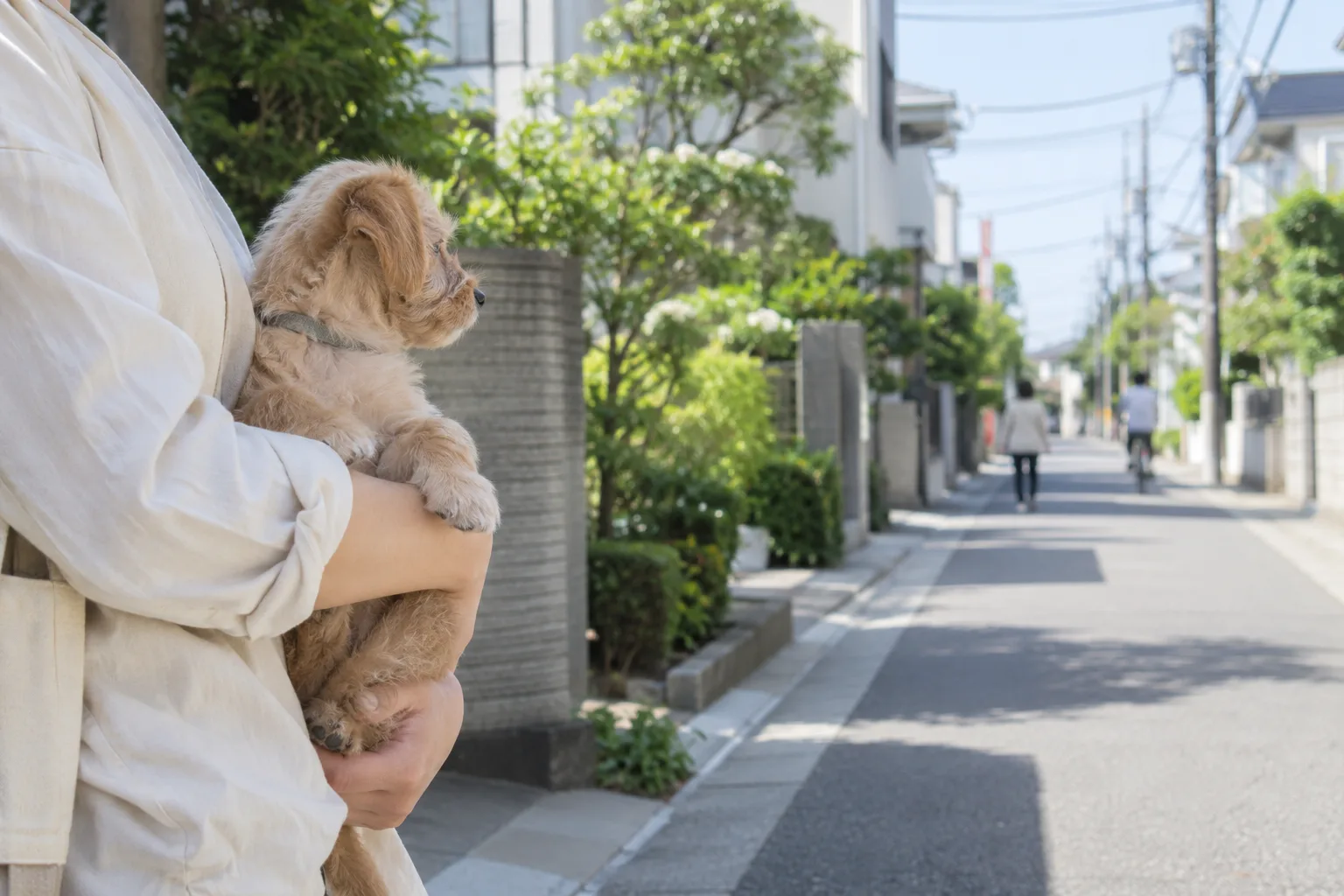 ワクチン前でもできる。抱っこで外の景色と音に慣らす