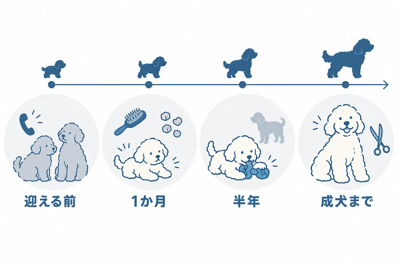 手入れとしつけを、迎える前 → 1か月 → 半年 → 成犬まで、の時間軸で（R4 手順の図解）