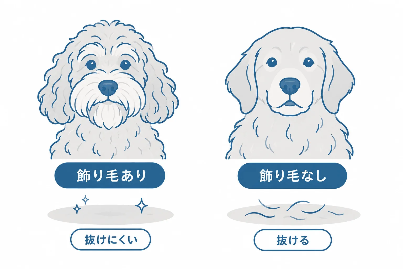 顔に飾り毛（長い眉毛・口ひげ・あごひげ）がある犬と、ない犬（ゴールデンのように顔の毛が短い）の見た目の違い。抜け毛が少ないのは飾り毛のある犬、を伝える