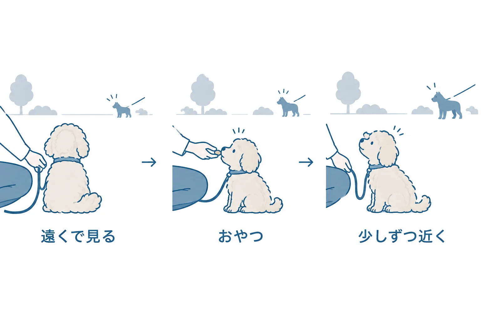 ほかの犬に慣らすときは、怖がる手前の距離でおやつ → 少しずつ近づく、の順番（研究で点数が高かった「知らない犬への反応」への練習）
