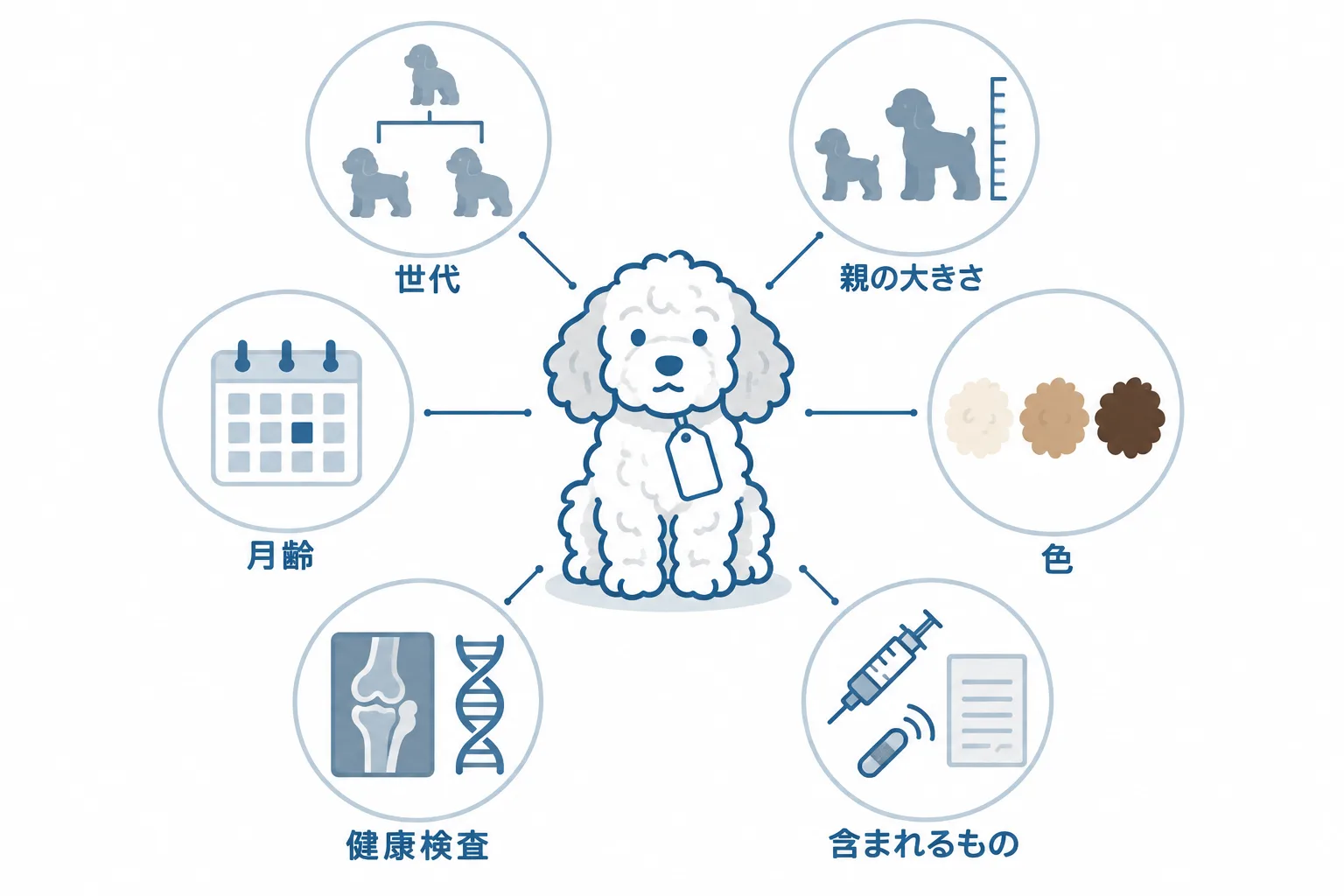 同じゴールデンドゥードルでも値段が違う理由が6つ（世代・親犬の大きさ・月齢・色・健康検査・含まれるもの）に分かれること