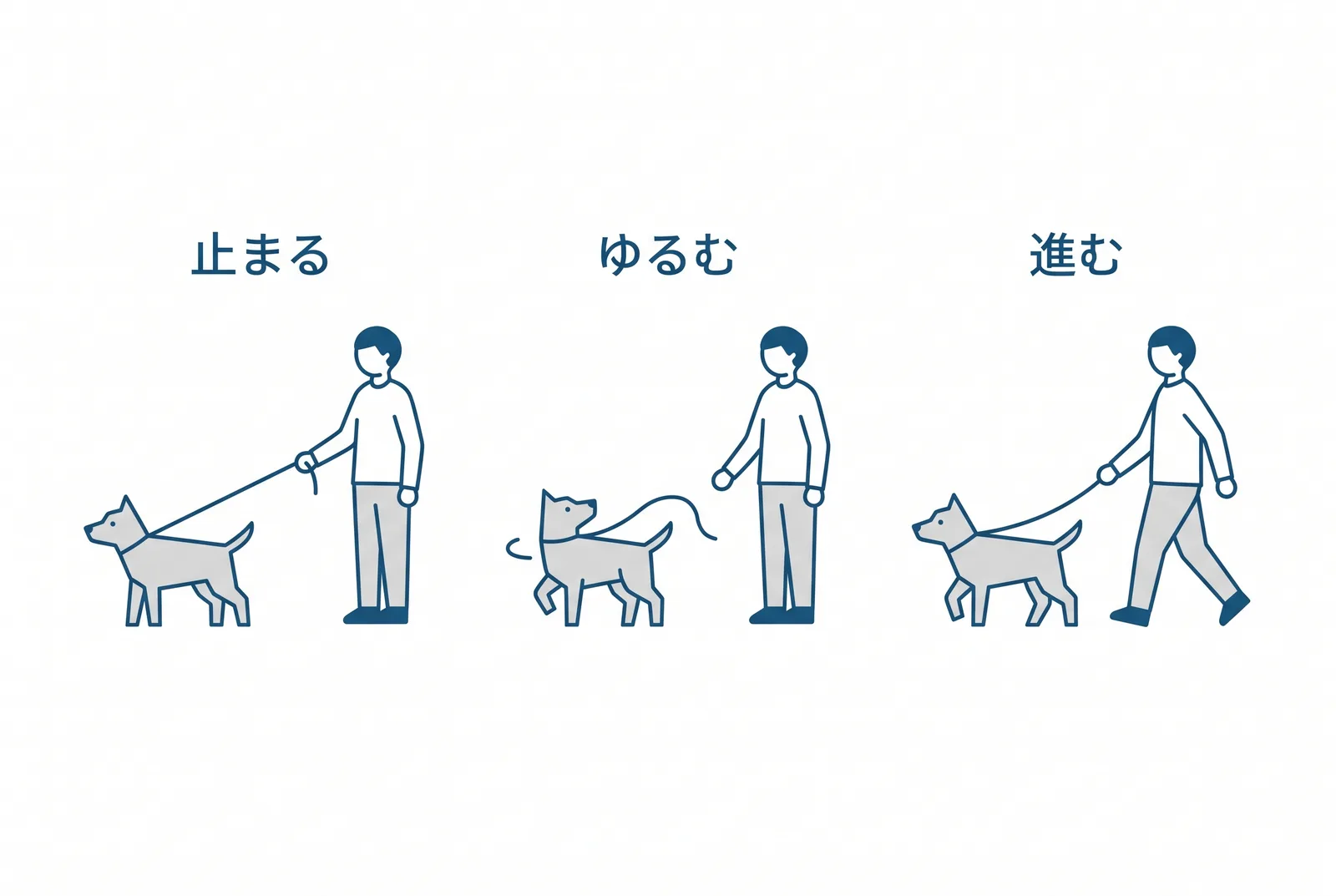 引っ張ったら止まる。リードが張ったら飼い主は止まり、犬が振り向いてリードがゆるんだら、一緒に歩き出す