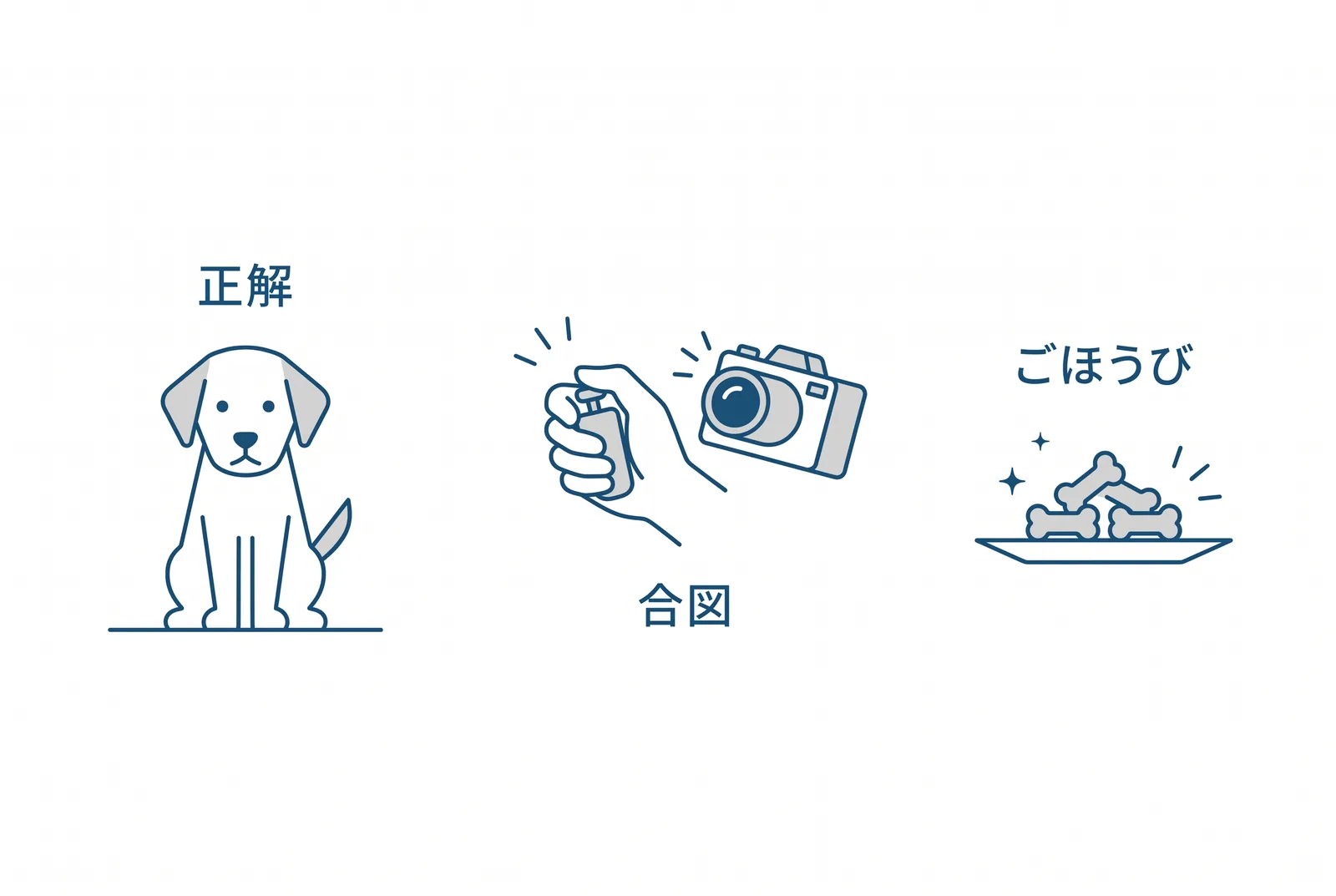 マーカーは正解の瞬間を撮る。犬がおすわりした瞬間にクリッカーで合図し、ごほうびを渡す
