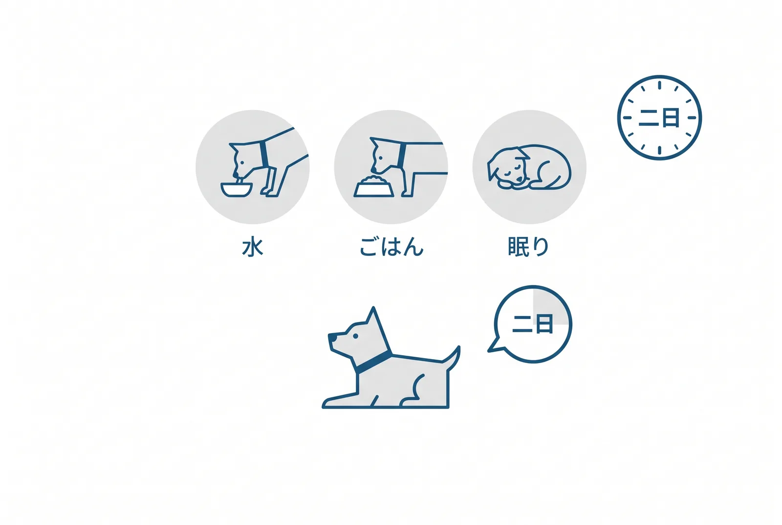帰ってきた後の二日間に見ること。水を飲むか、ごはんを食べるか、ぐっすり眠るか