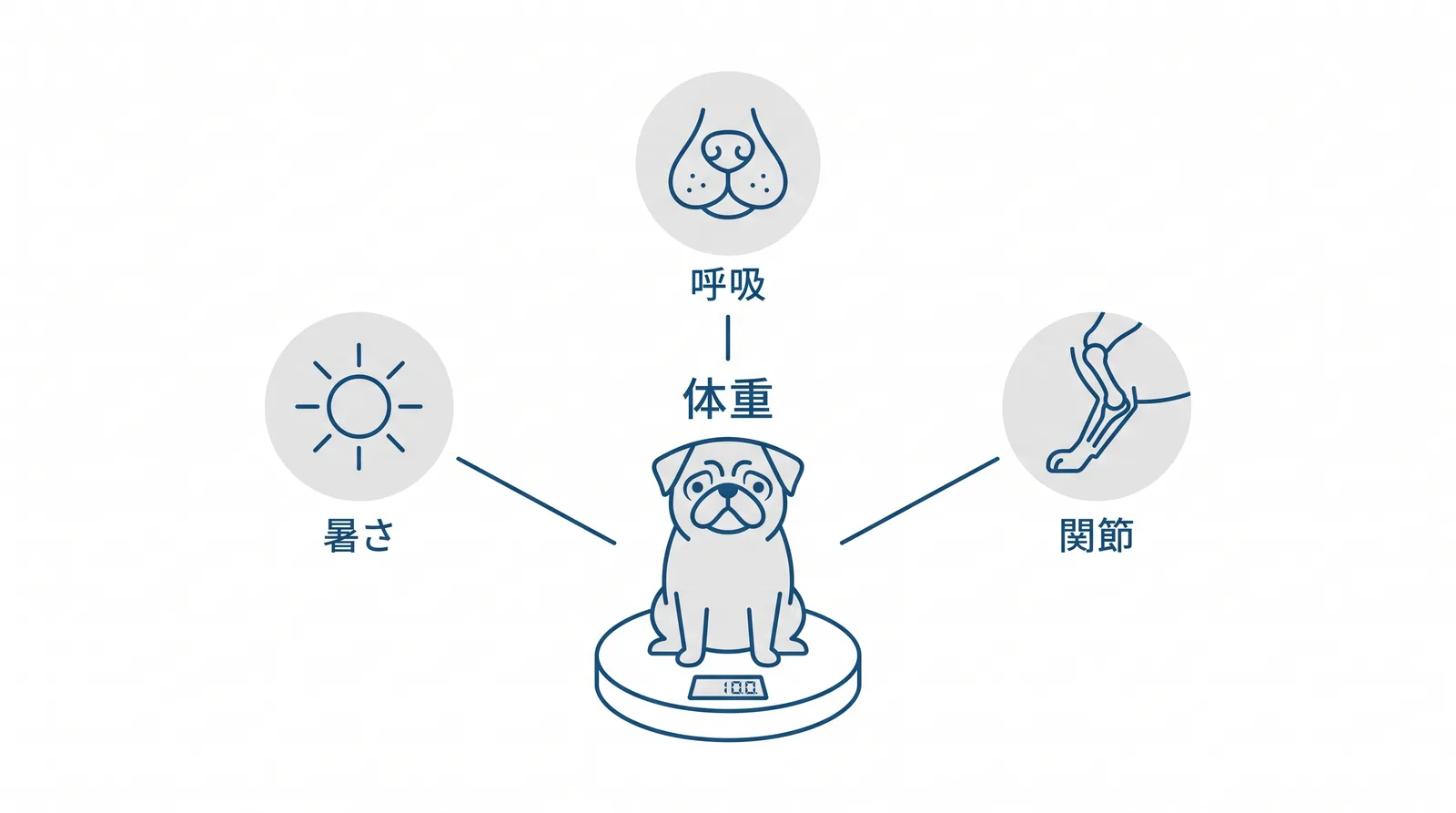 パグは太らせないがすべてに効く。中心に体重を計る（月1回、上から見て腰にくびれ）。呼吸：短頭種、太ると気道がさらに狭くなる。関節：膝と股関節に体重が乗る。暑さ：脂肪は熱を逃がさない