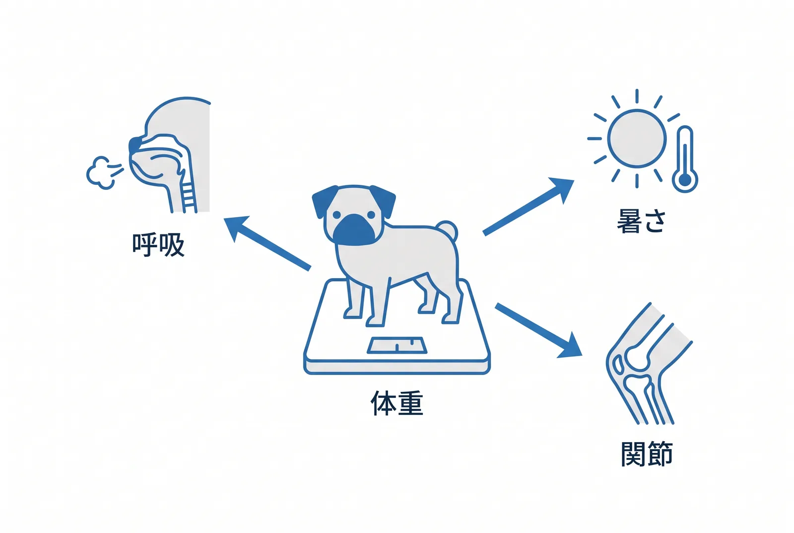 体重を管理すると、呼吸・関節・暑さの三つを同時に予防できる