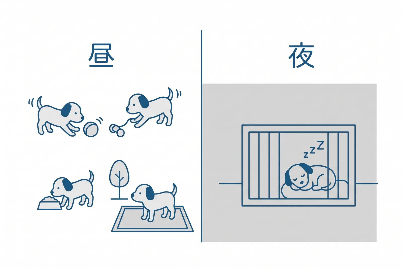 夜泣きは昼に仕込む。昼に遊び・トイレ・食事をしっかり済ませ、夜は暗い部屋のクレートで眠る