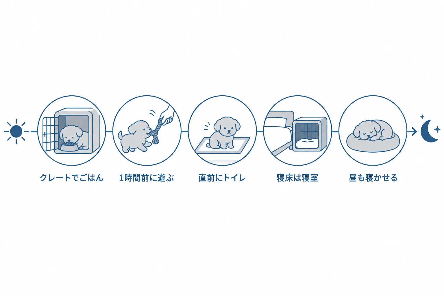 夜泣き対策は昼に決まる。クレートでごはん、寝る1時間前に遊ぶ、直前にトイレ、寝床は寝室、昼もこまめに寝かせる