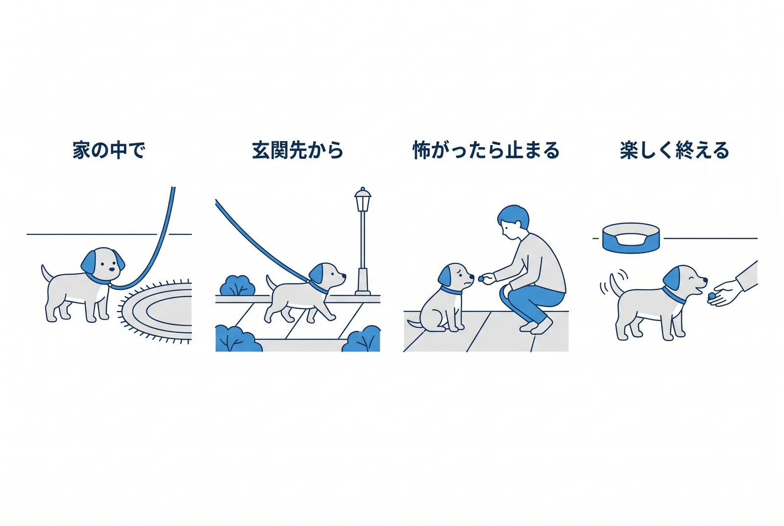 最初の散歩の四段階。家の中でリードに慣らす、玄関先から、怖がったら止まる、楽しく終える