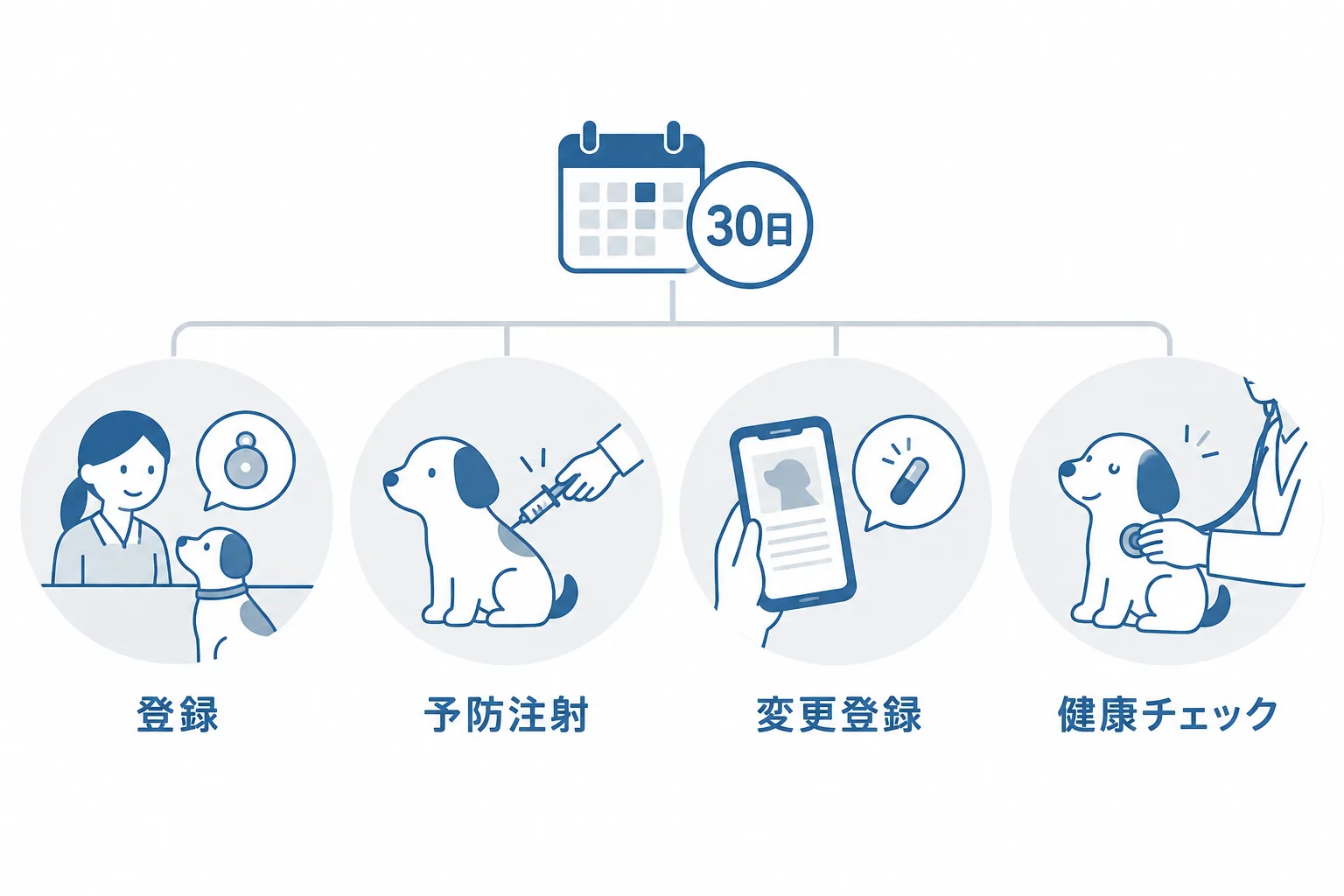 迎えたあと30日以内にやる4つ。市区町村への犬の登録、狂犬病予防注射、マイクロチップの変更登録、動物病院で健康チェック