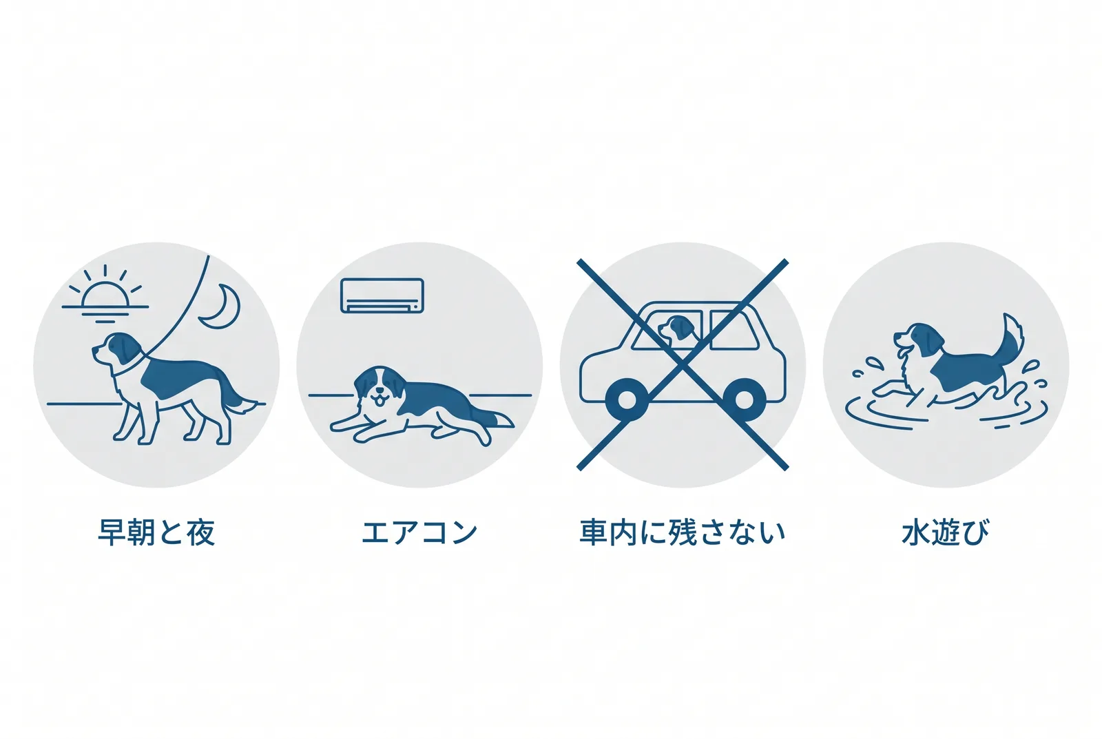 日本の夏の過ごし方。散歩は早朝と夜、エアコンは夏じゅう、車内に残さない、運動は水遊び