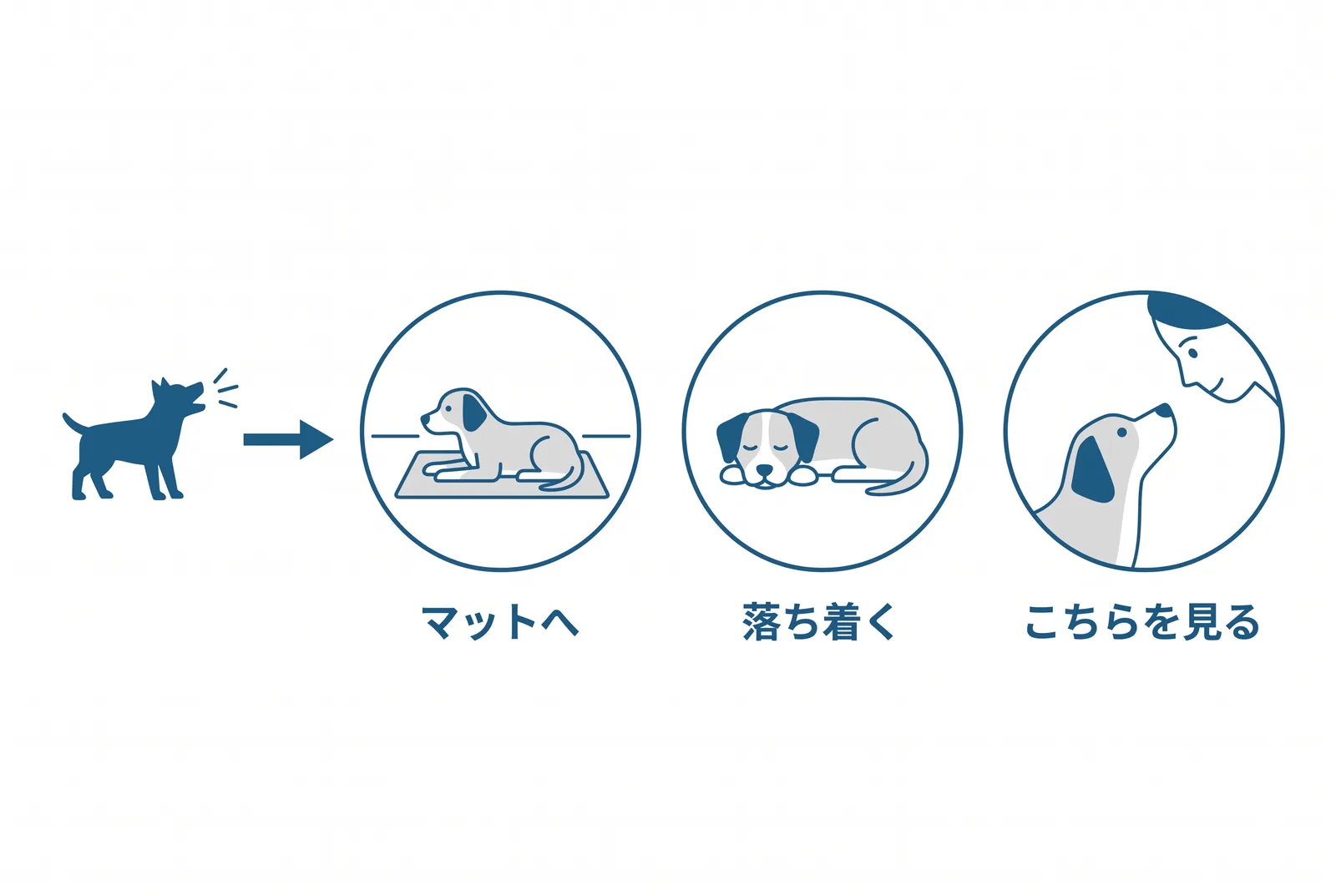 吠える代わりに何をするかを教える。マットへ行く、落ち着く、こちらを見る。静かなときに練習しておく