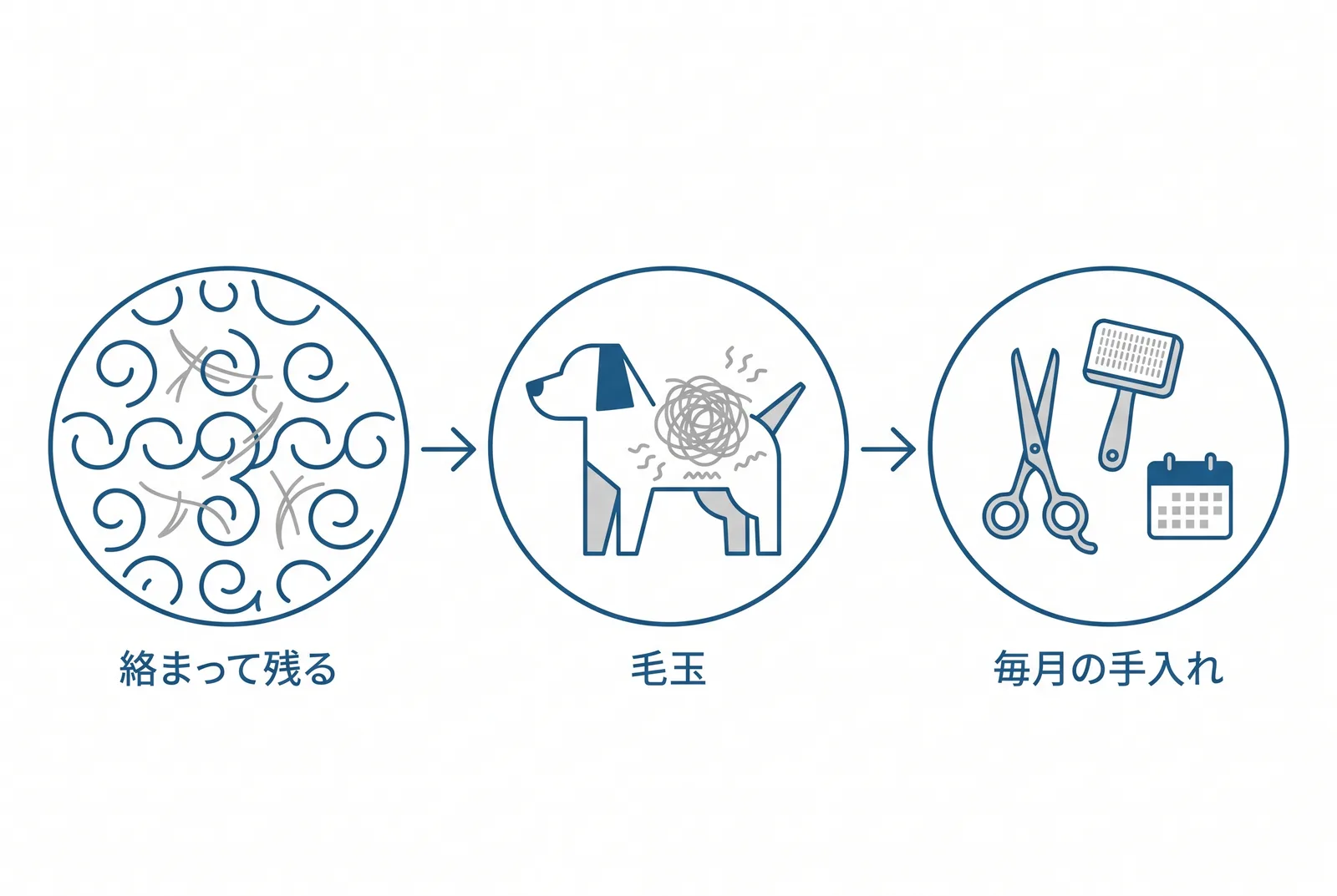 「毛が抜けにくい」の正体。抜けた毛が巻き毛に絡まって残り、毛玉になる。だから毎月の手入れが一生続く