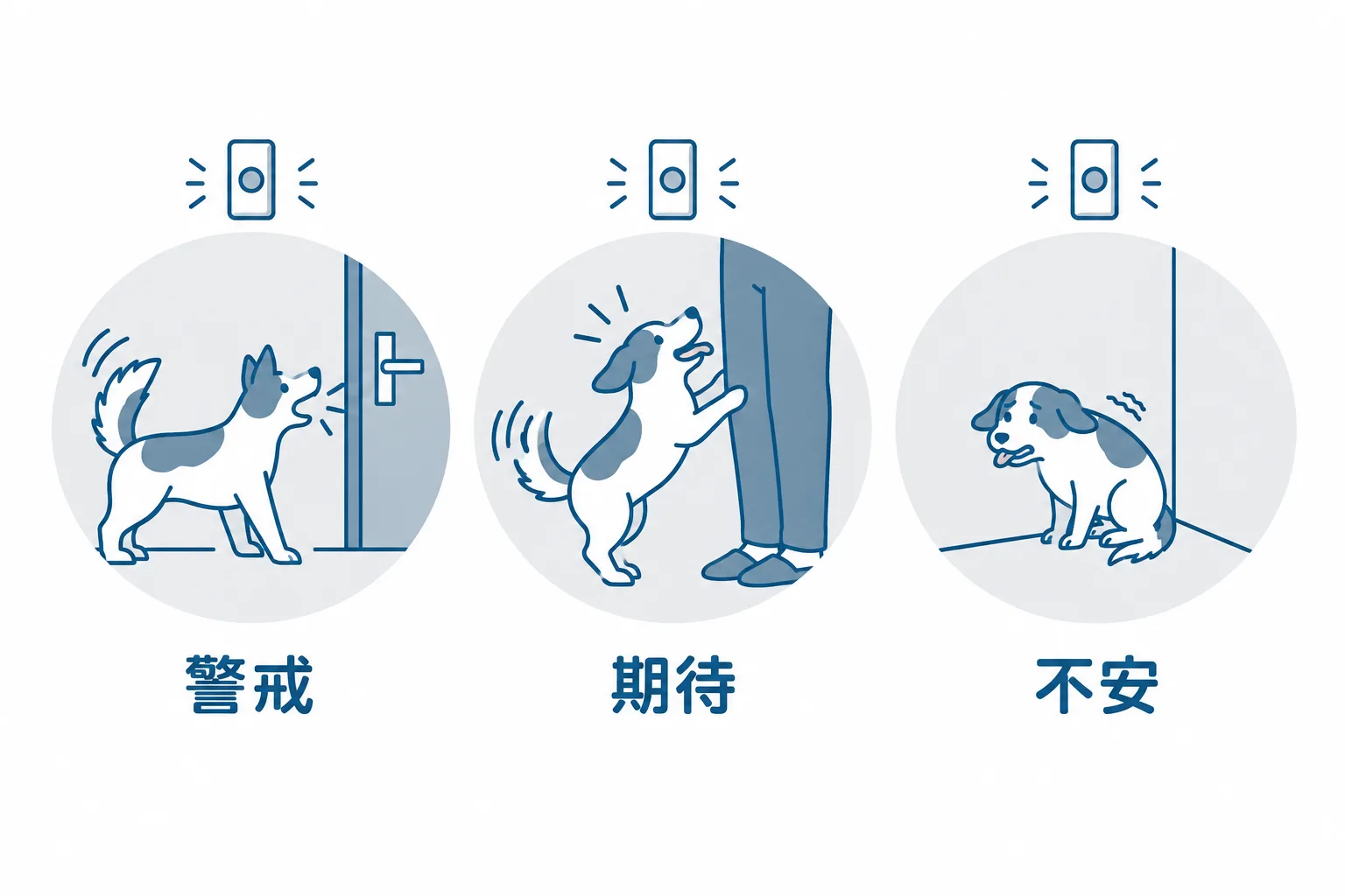 チャイム直後の3秒で見る。警戒は玄関へ前のめり、期待は飼い主へ跳ねる、不安は隅へ下がって尻尾が下がる