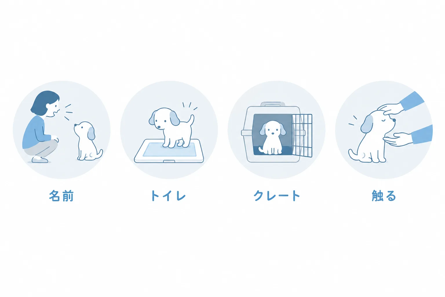 最初に教える四つ。名前を呼ぶ、トイレ、クレート、触られる練習