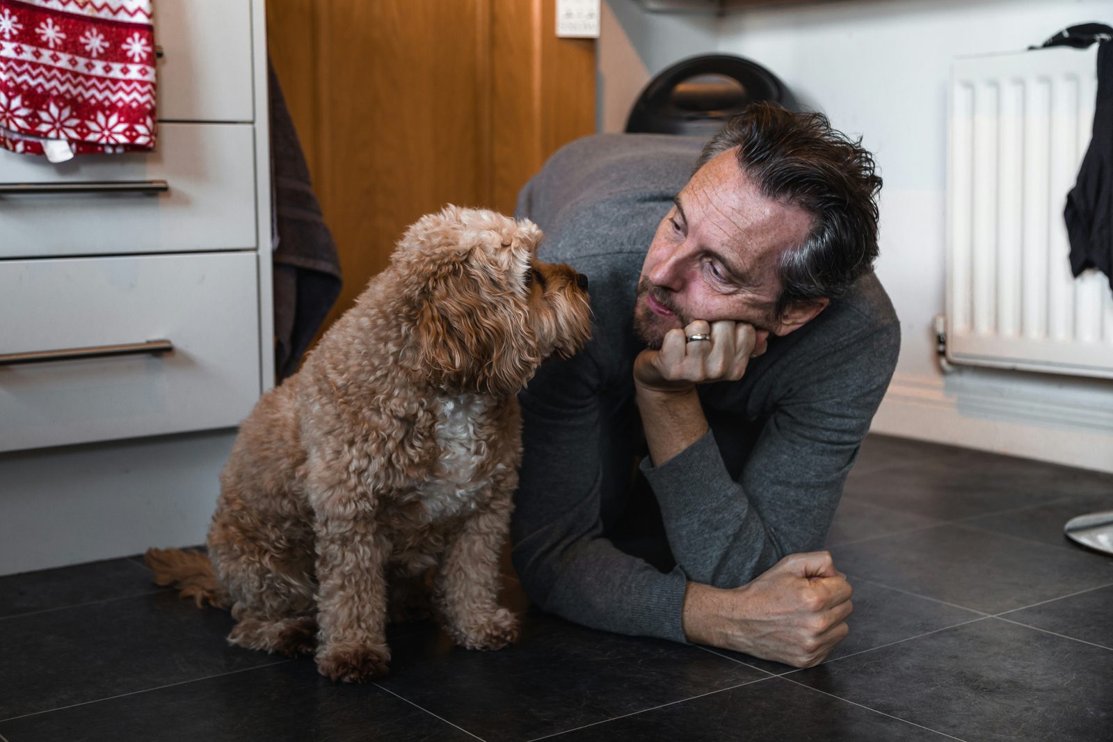 床に座る犬と、同じ目線までかがんで見つめ合う男性